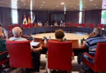 El Cabildo celebrará el Encuentro Insular del Mayor el 19 de julio en Hermigua