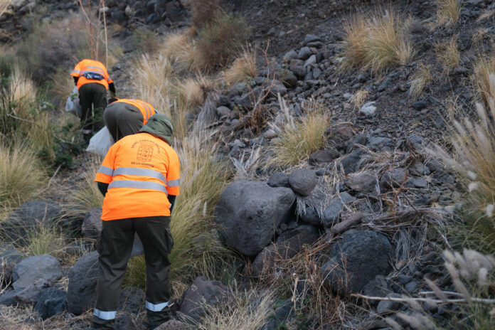 220626 Personal de control de especies exóticas en La Gomera