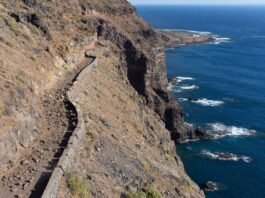 El Cabildo de La Gomera finaliza la limpieza de la carretera de acceso a Puntallana