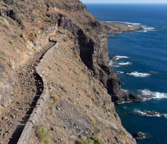 El Cabildo de La Gomera finaliza la limpieza de la carretera de acceso a Puntallana