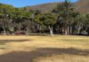 Iniciativa por La Gomera (IxLG) reclama un plan de choque urgente para revertir el grave deterioro del Parque de la Torre del Conde
