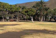 Iniciativa por La Gomera (IxLG) reclama un plan de choque urgente para revertir el grave deterioro del Parque de la Torre del Conde