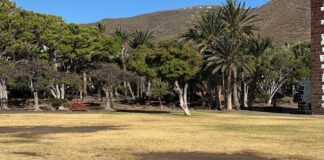 Iniciativa por La Gomera (IxLG) reclama un plan de choque urgente para revertir el grave deterioro del Parque de la Torre del Conde