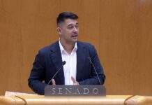 Fabián Chinea (ASG) reclama una política pesquera europea “adaptada a la realidad de Canarias” y centrada en la protección del desarrollo local