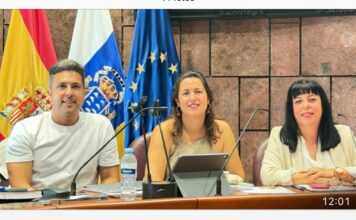 El grupo insular del PSOE exige la apertura de los centros turísticos de la isla y de la Torre del Conde