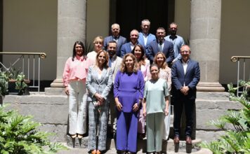 El Parlamento de Canarias aprueba la reforma de la Ley de Cabildos Insulares