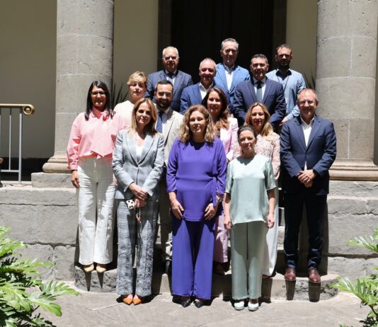 El Parlamento de Canarias aprueba la reforma de la Ley de Cabildos Insulares