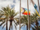 La Gomera conmemora este viernes el Día Internacional del Orgullo LGBTIQ+ con la lectura de un manifiesto