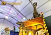 Dinosaurios animatronics para eventos y experiencias educativas