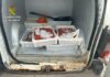 La Guardia Civil interviene en La Gomera más de 28 kg de pescado y marisco transportados en un vehículo de forma irregular