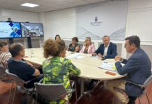 Pablo Rodríguez y Pino de León presentan a los cabildos las líneas estratégicas del futuro Plan de Vivienda de Canarias 2026-2030