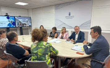 Pablo Rodríguez y Pino de León presentan a los cabildos las líneas estratégicas del futuro Plan de Vivienda de Canarias 2026-2030