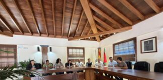 El pleno de Vallehermoso aprueba medidas clave para obras y gestión ambiental