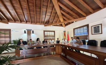 El pleno de Vallehermoso aprueba medidas clave para obras y gestión ambiental