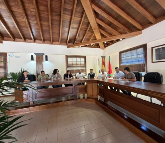 El pleno de Vallehermoso aprueba medidas clave para obras y gestión ambiental