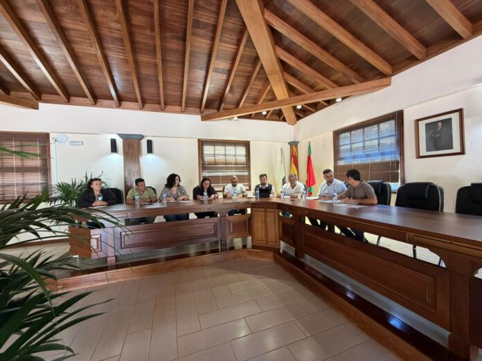 pleno Vallehermoso (1)