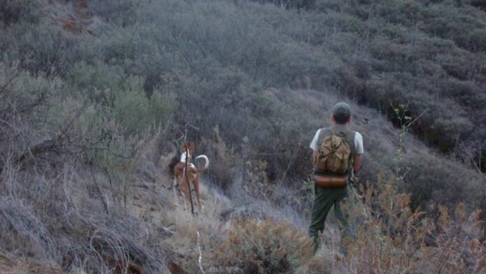 010726-caza-en-la-isla-de-la-gomera
