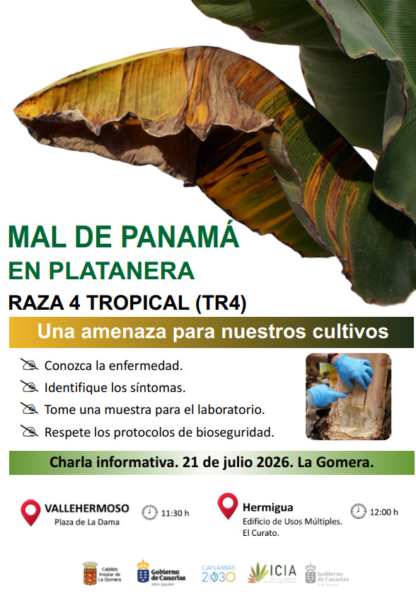 180726 Cartel charlas MAL DE PANAMÁ EN PLATANERA RAZA 4 TROPICAL (TR4) en La Gomera