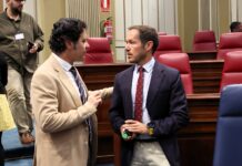 ASG propone reforzar la red eléctrica para aprovechar todo el potencial renovable de Canarias