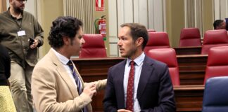 ASG propone reforzar la red eléctrica para aprovechar todo el potencial renovable de Canarias