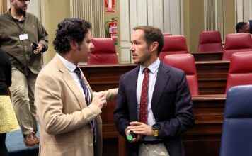 ASG propone reforzar la red eléctrica para aprovechar todo el potencial renovable de Canarias