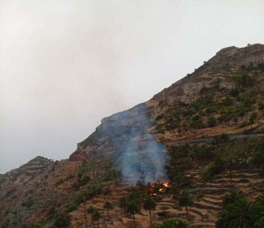 Declarado un conato de incendio en la zona de Vegaipala, término municipal de San Sebastián de La Gomera