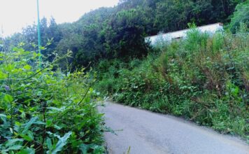 Disfrutar de la naturaleza también significa mantenerla segura y accesible