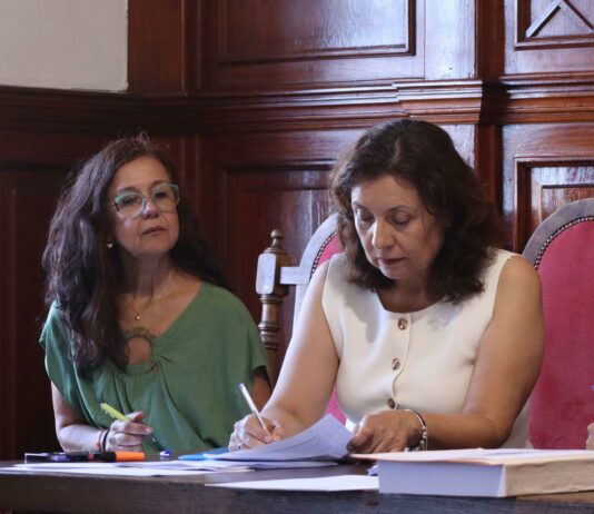 El PSOE defiende la necesidad de una agenda cultural y de ocio estable para la juventud del municipio