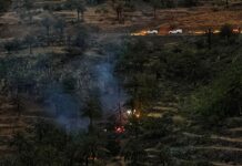 Extinguido el conato de incendio declarado en Vegaipala en La Gomera