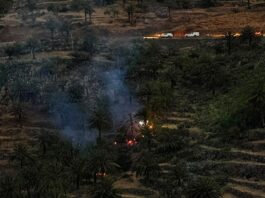 Extinguido el conato de incendio declarado en Vegaipala en La Gomera