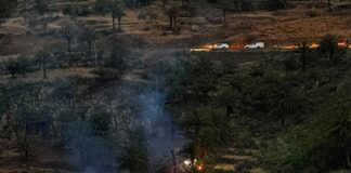 Extinguido el conato de incendio declarado en Vegaipala en La Gomera