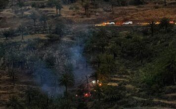 Extinguido el conato de incendio declarado en Vegaipala en La Gomera