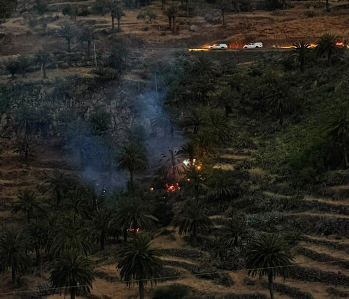 Conato de INcendio en Vegaipala 1