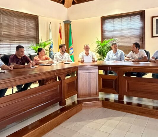 Vallehermoso aprueba en pleno nuevas actuaciones por más de 165.000 euros para impulsar el desarrollo del municipio