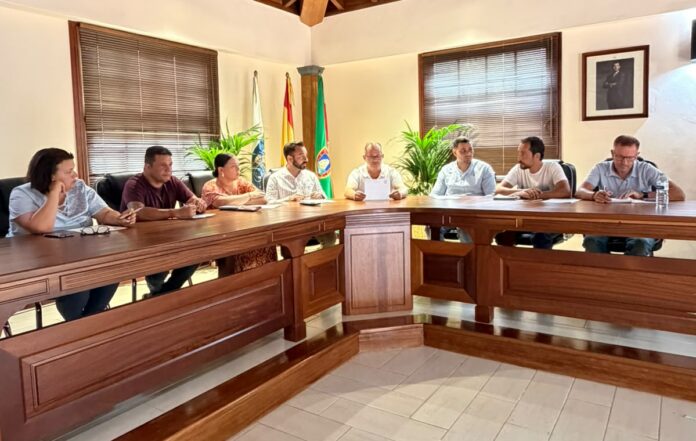 Pleno ayto vallehermoso