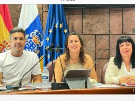 El grupo insular del PSOE pide al Cabildo la retirada de los residuos del sendero que va de La Guancha al Cabrito