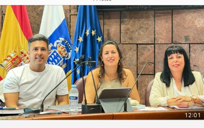 Representantes del PSOE en el Cabildo de La Gomera