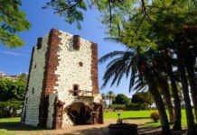 La Gomera acogerá las III Jornadas Técnicas Internacionales de Vitivinicultura Sostenible
