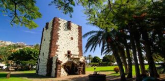 La Gomera acogerá las III Jornadas Técnicas Internacionales de Vitivinicultura Sostenible