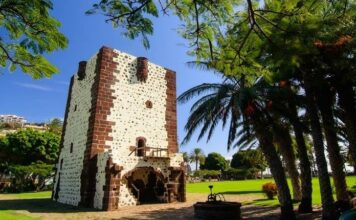 La Gomera acogerá las III Jornadas Técnicas Internacionales de Vitivinicultura Sostenible
