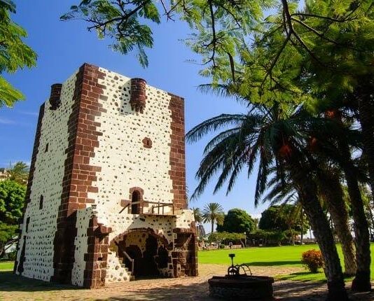 La Gomera acogerá las III Jornadas Técnicas Internacionales de Vitivinicultura Sostenible