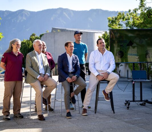 Transición Ecológica presenta el nuevo Plan Forestal para proteger los montes de Canarias