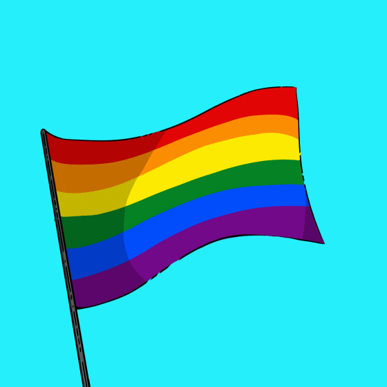 bandera lgt1