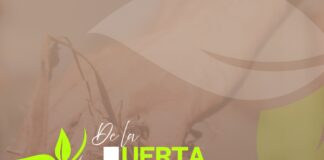 Vallehermoso impulsa “De la Huerta al Deportista” para promover el producto local y el consumo de kilómetro 0