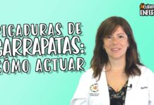 Las enfermeras alertan del repunte de picaduras de garrapatas y aportan las medidas más eficaces para evitar las enfermedades derivadas