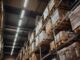 DHL vs soluciones especializadas en e-commerce: ¿cuál es la diferencia?