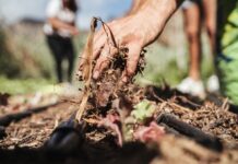 El Cabildo consolida el Banco Insular de Tierras de La Gomera mediante un convenio con Red TERRAE