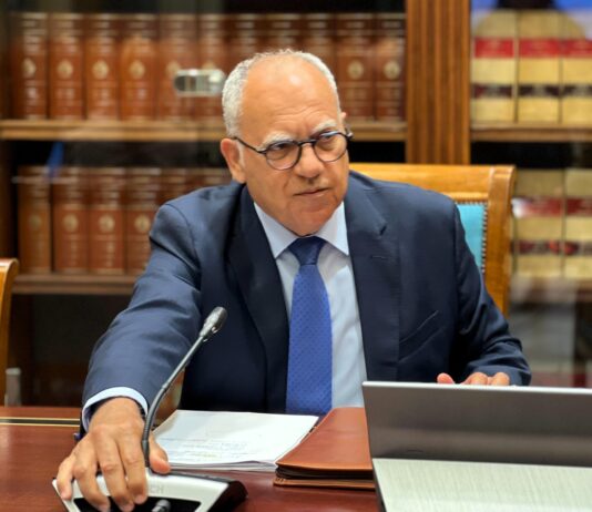 Curbelo anima a acelerar las medidas del reto demográfico para corregir los desequilibrios de Canarias