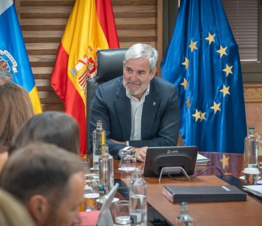 El SCS estabiliza por concurso de méritos a más de 9.000 plazas de 122 categorías profesionales