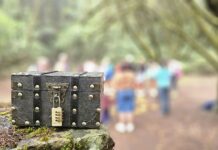 La Fundación Acuorum y el Cabildo de La Gomera invitan a descubrir los secretos de la laurisilva con la actividad familiar ‘El Tesoro del Garajonay’